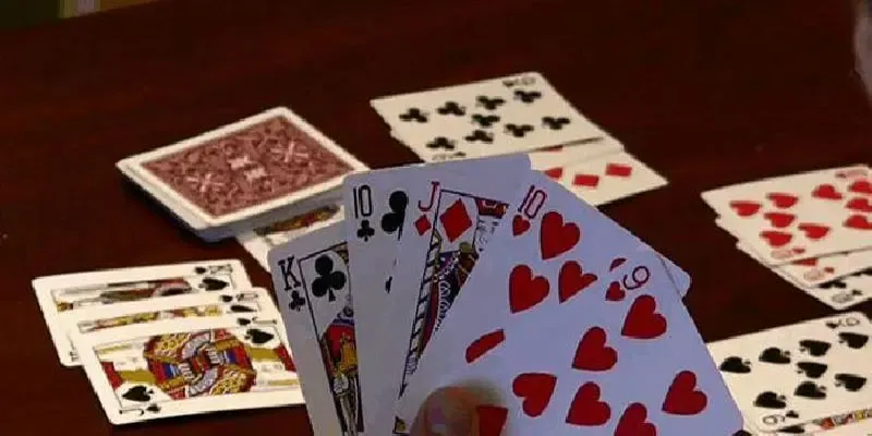 How Many Cards in Catte?